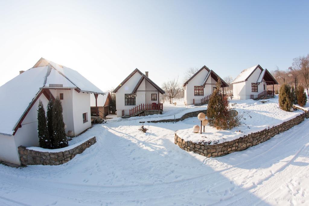 Holiday Home Jazacka Bajka Vrdnik Eksteriør billede