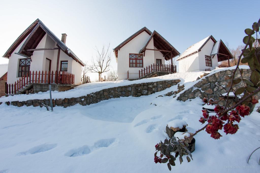 Holiday Home Jazacka Bajka Vrdnik Eksteriør billede